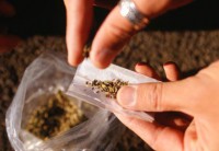 Traficante é preso ao trazer drogas para Carlópolis